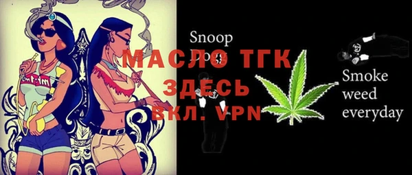 ECSTASY Горняк