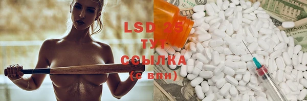 ECSTASY Горняк