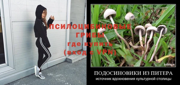 ECSTASY Горняк