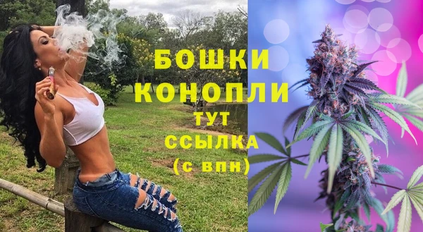 PSILOCYBIN Волоколамск