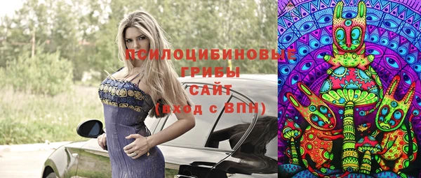 ALPHA PVP Горнозаводск